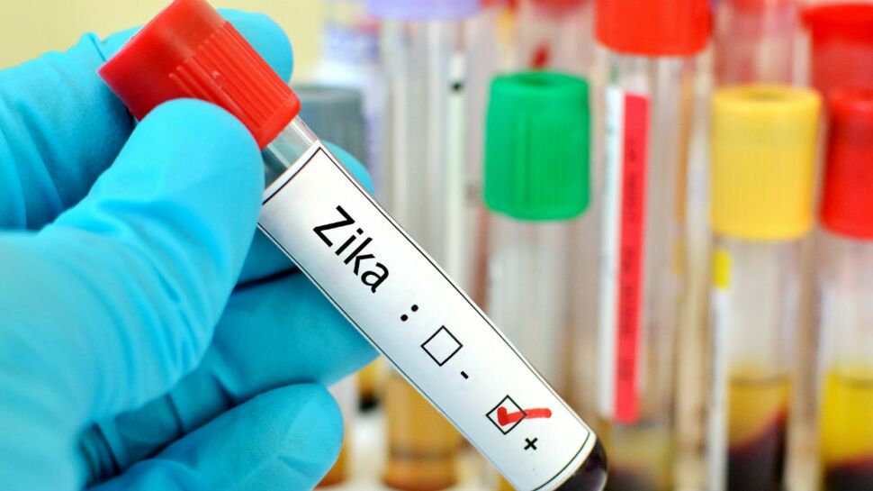 L'OMS annonce que Zika n’est plus une menace de santé publique mondiale