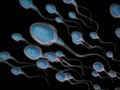 Infertilité masculine : qu’est-ce que l’azoospermie ?