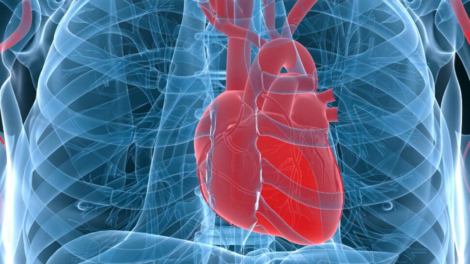 Péricardite : ce qu’il faut savoir sur cette inflammation de la membrane du cœur