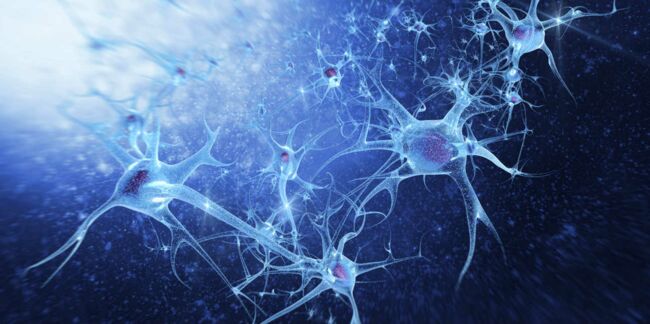 Qu'est-ce que la neuropathie ?