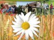 2.000 gîtes ruraux à louer en France en mai à 200 euros la semaine