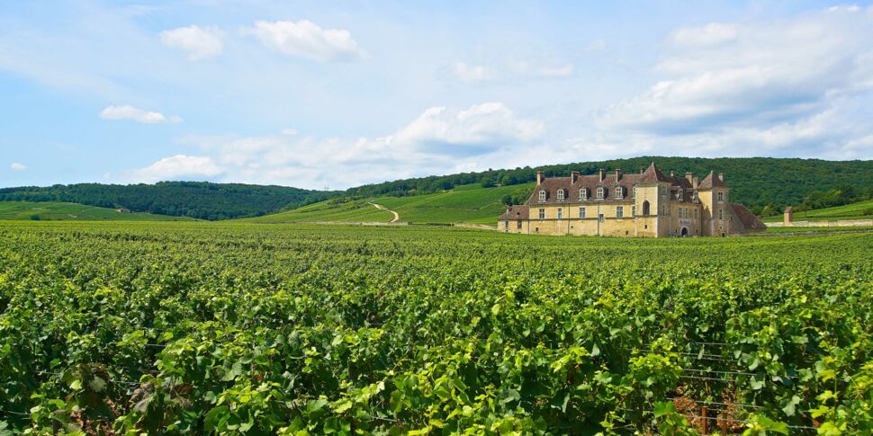 Bourgogne, sur la route des vins