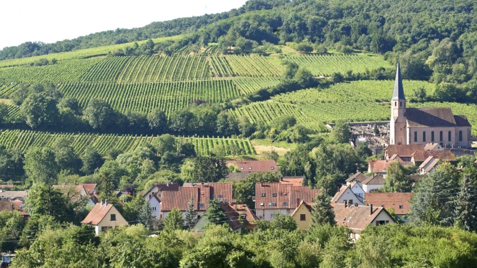 De vignes en villages, une balade alsacienne