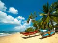 Sri Lanka, oasis verdoyante au cœur de l’océan