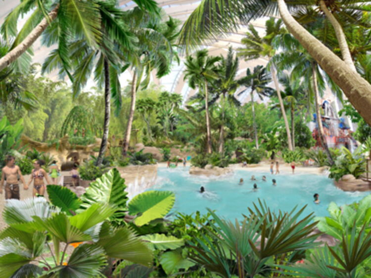 Le 4ème Center Parcs de France a ouvert en Moselle Femme Actuelle Le MAG