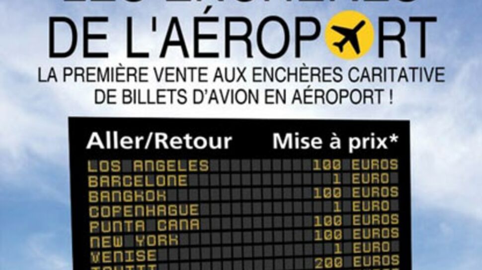 Des billets d'avion vendus aux enchères le 20 juin à Paris