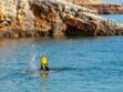 Les plages de Méditerranée nettoyées jusqu'au 19 août