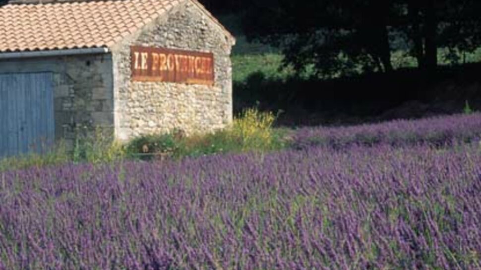A Manosque, pause en Provence