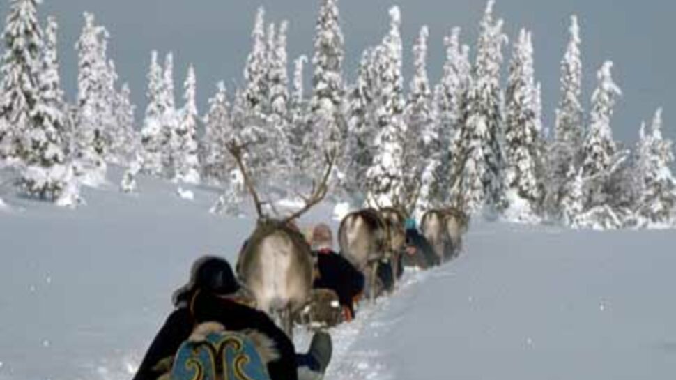 Frissons nordiques en Laponie