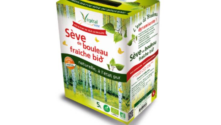 Faites une cure de Sève de Bouleau fraîche avec Végétal Water