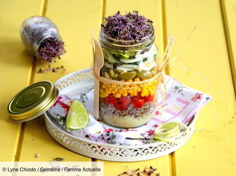 Salade aux graines germées facile et rapide : découvrez les