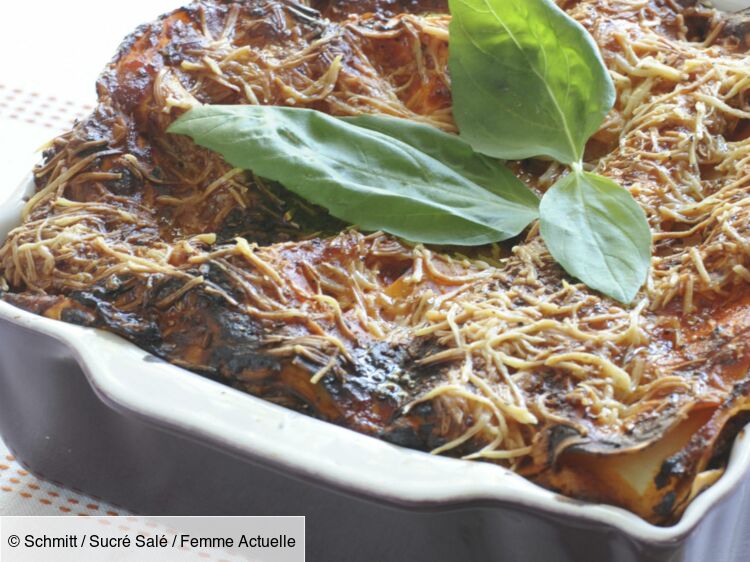 Lasagnes traditionnelles à la bolognaise : découvrez les recettes de  cuisine de Femme Actuelle Le MAG