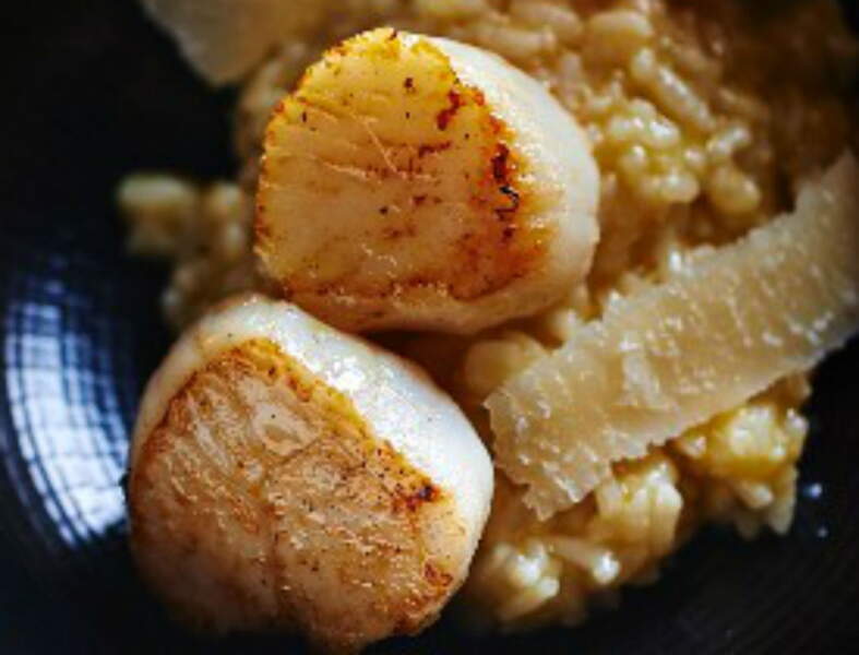 Coquilles Saint-Jacques : Nos Meilleures Recettes - Femme Actuelle