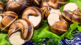 Escargots au beurre persillé rapide : découvrez les recettes de cuisine de  Femme Actuelle Le MAG