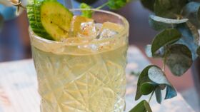 Le St-Germain® Cocktail rapide : découvrez les recettes de cuisine