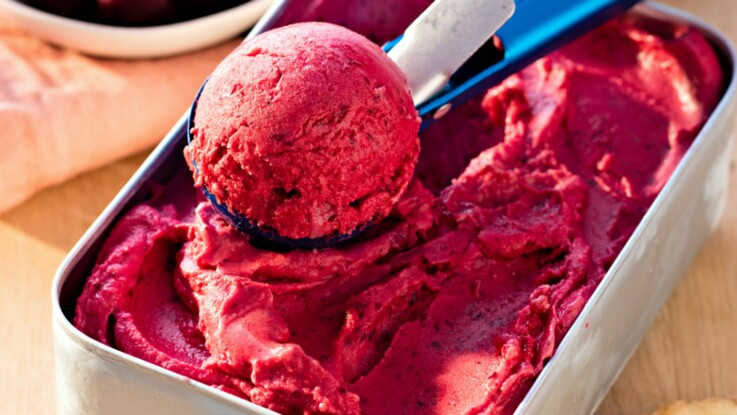 Nos Recettes De Sorbets Super Faciles Femme Actuelle Le Mag - 