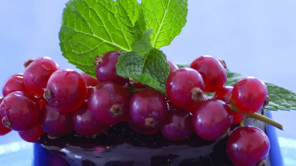 Fruits rouges en gelée de vin rouge