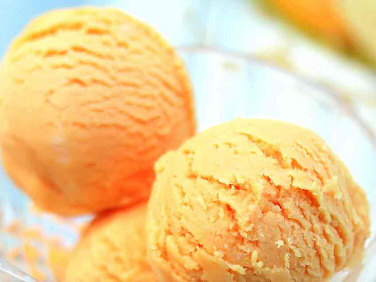Le sorbet melon au Thermomix® 5 recettes faciles à faire à toute