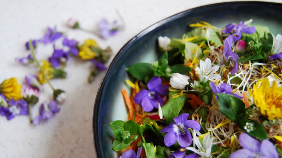 Salade de fleurs - Achat, utilisation, recettes