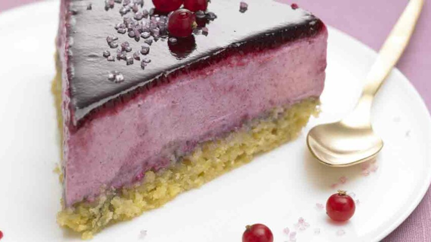 Recette Thermomix Gateau Royal A La Mousse De Cassis Facile Et Rapide Decouvrez Les Recettes De Cuisine De Femme Actuelle Le Mag