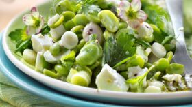 Salade croquante de fèves aux lardons fumés rapide : découvrez les recettes  de cuisine de Femme Actuelle Le MAG