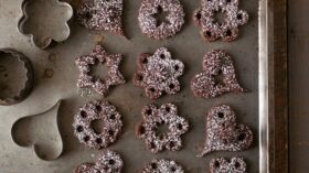 Biscuits De Noel Alsaciens Thermomix