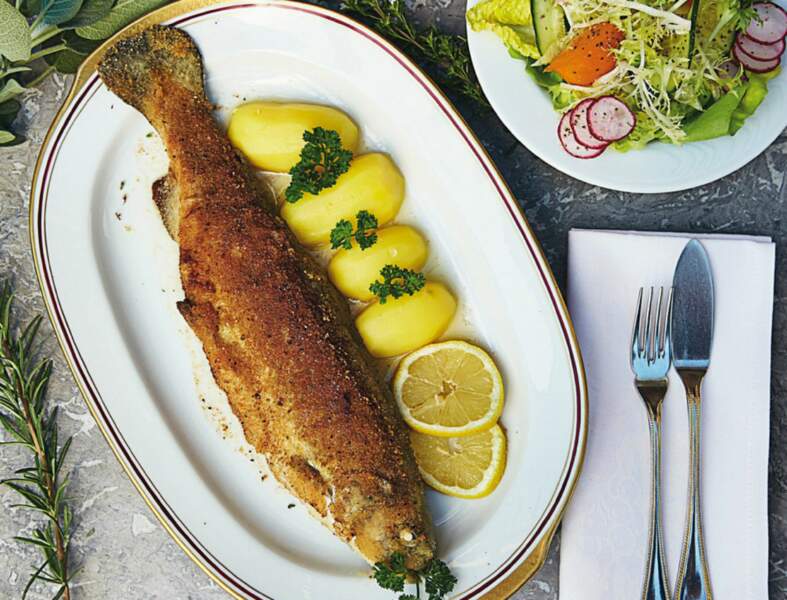 Au four, à la poêle, en papillote nos recettes à la truite Femme Actuelle Au four, à la poêle, en papillote nos recettes à la truite Femme Actuelle