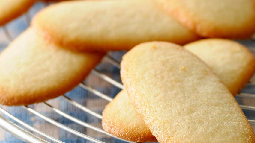 Langues De Chat Decouvrez Les Recettes De Cuisine De Femme Actuelle Le Mag