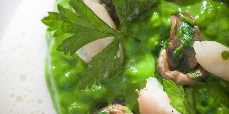 Risotto Vert Cuisses De Grenouilles Escargots De Bourgogne Et