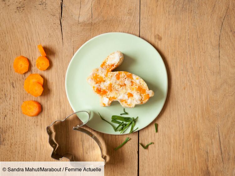 Recette pour chat : pâtée de lapin-carotte-semoule rapide : découvrez les  recettes de cuisine de Femme Actuelle Le MAG