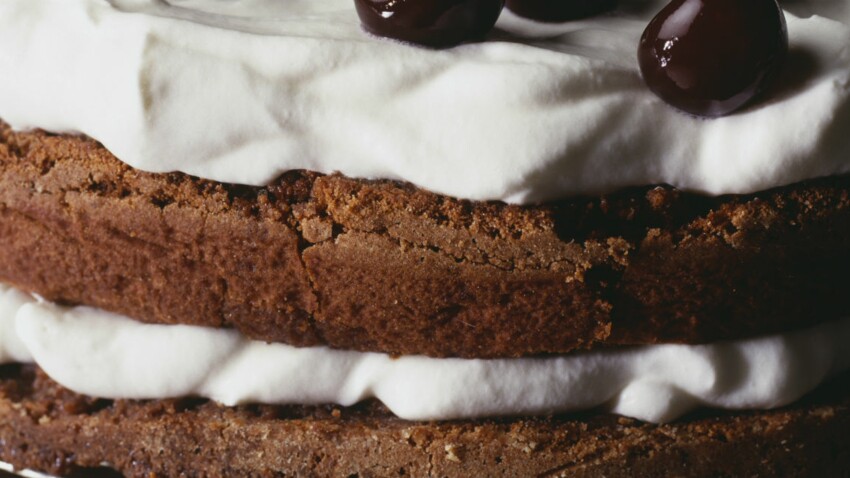 Biscuit Au Cacao Genoise Pour Gateaux A Etages Decouvrez Les Recettes De Cuisine De Femme Actuelle Le Mag