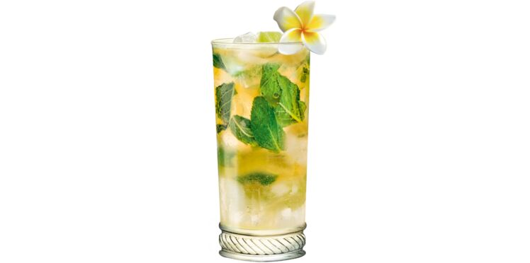 Mojito Vanille Decouvrez Les Recettes De Cuisine De Femme