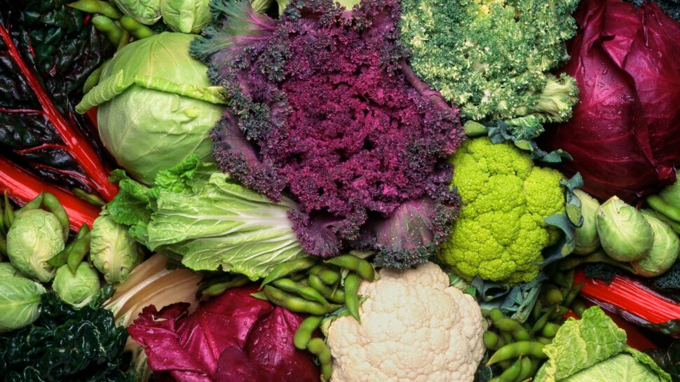 Cancer du côlon : certains légumes réduiraient le risque