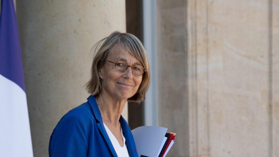 Françoise Nyssen : le parquet de Paris ouvre une enquête préliminaire sur les travaux d'Actes Sud