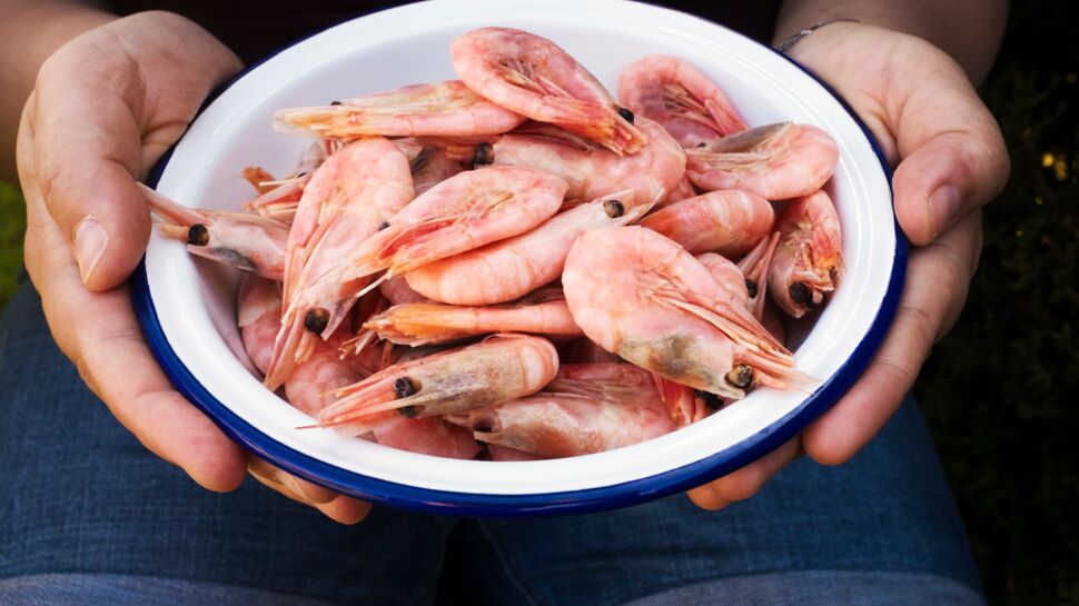 Sel, poissons, crustacés : le plastique envahit nos assiettes, comment limiter la contamination ?