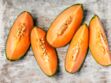 DIY beauté : nos recettes avec du melon