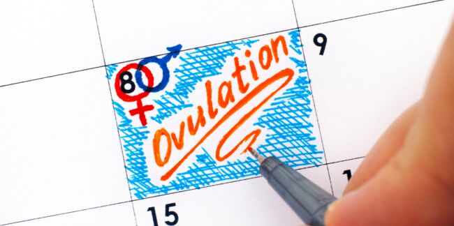 Ovulation : 4 signes qui prouvent que vous êtes dans la bonne période pour tomber enceinte