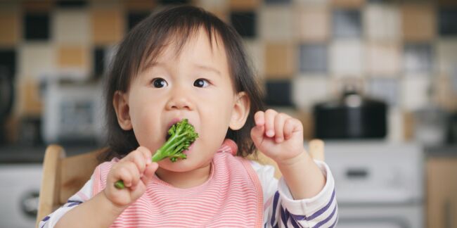 DME : quelles précautions prendre lorsque l’on débute une diversification alimentaire menée par l’enfant ?