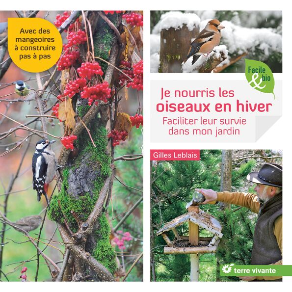 Quand Et Comment Nourrir Les Oiseaux Au Jardin Femme Actuelle Le Mag