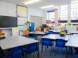 Invasion d'araignées-loup à Montpellier : sept classes fermées dans une école