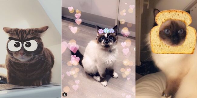 Snapchat lance des filtres pour votre chat