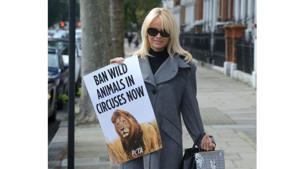 Pamela Anderson veut rencontrer Emmanuel Macron pour parler des cirques