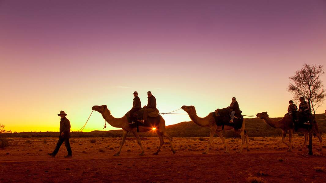 Australie 10 Activités Insolites à Faire Pendant Son Séjour Femme Actuelle 6888