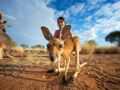 Câliner un bébé kangourou à Alice Springs