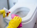 6 étapes pour bien nettoyer ses toilettes en 5 minutes chrono