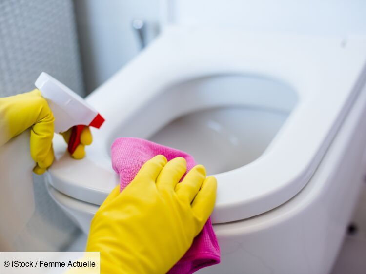 Nettoyage des toilettes: nettoyer correctement ses W.-C.