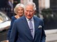 Photos - Un nouveau cliché du prince Charles avec son petit-fils Louis fait fondre les internautes