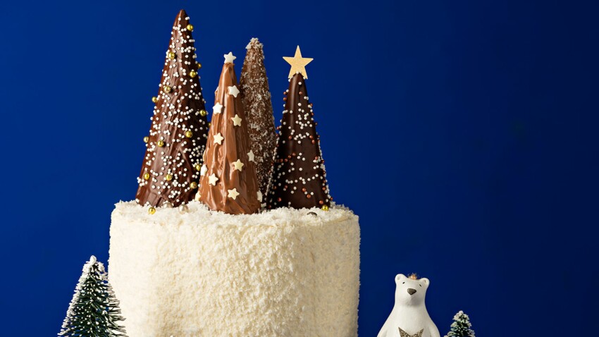 Gateau Coco Facon Foret De Sapins Decouvrez Les Recettes De Cuisine De Femme Actuelle Le Mag