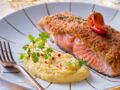 Repas de fête : plus de 100 recettes au saumon