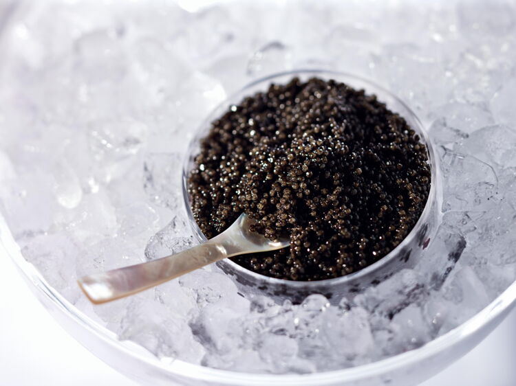 Le caviar comment bien le choisir Femme Actuelle Le MAG